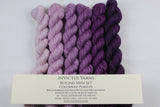 Purples Beyond MCN Mini Kit fingering weight yarn