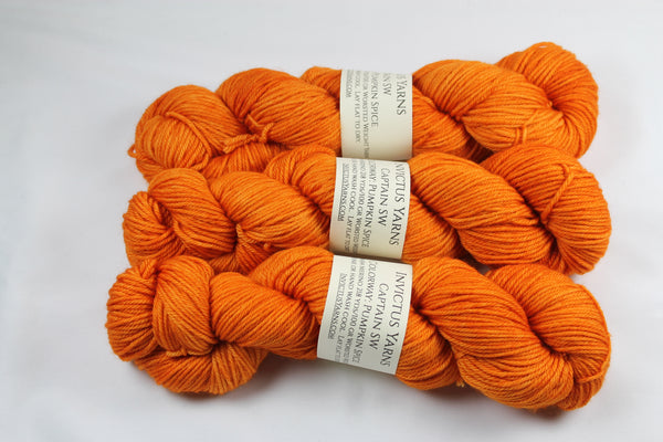 Pumpkin Spice Captain SW 100% superwash merino worsted yarn