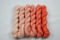 Corals Micro Mini Set Beyond MCN fingering weight yarn