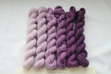 Purples Beyond MCN Mini Kit fingering weight yarn