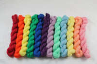 Ultimate Rainbow Victorious 12 skein Mini Kit fingering weight yarn