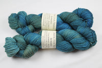 Allons-y Reward 80/20 merino/silk fingering weight sock yarn
